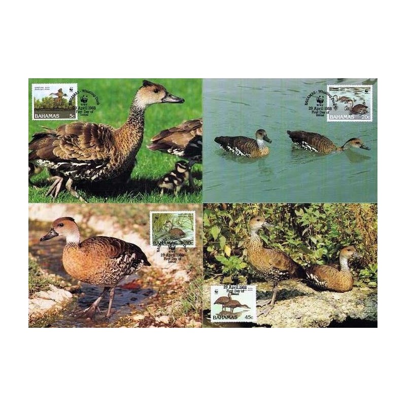 Bahamy 1988, WWF: Ptak kaczka drzewica. Karty maksimum