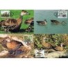 Bahamy 1988, WWF: Ptak kaczka drzewica. Karty maksimum