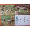 Korea Pd 1988, WWF: Ptak żuraw. Karty maksimum