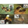 Korea Pn 1987, WWF: Ptaki kaczki. Karty maksimum