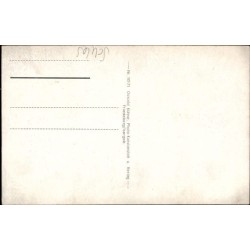 Świeradów-Zdrój, Widok ze Stogu Izerskiego. Bez obiegu