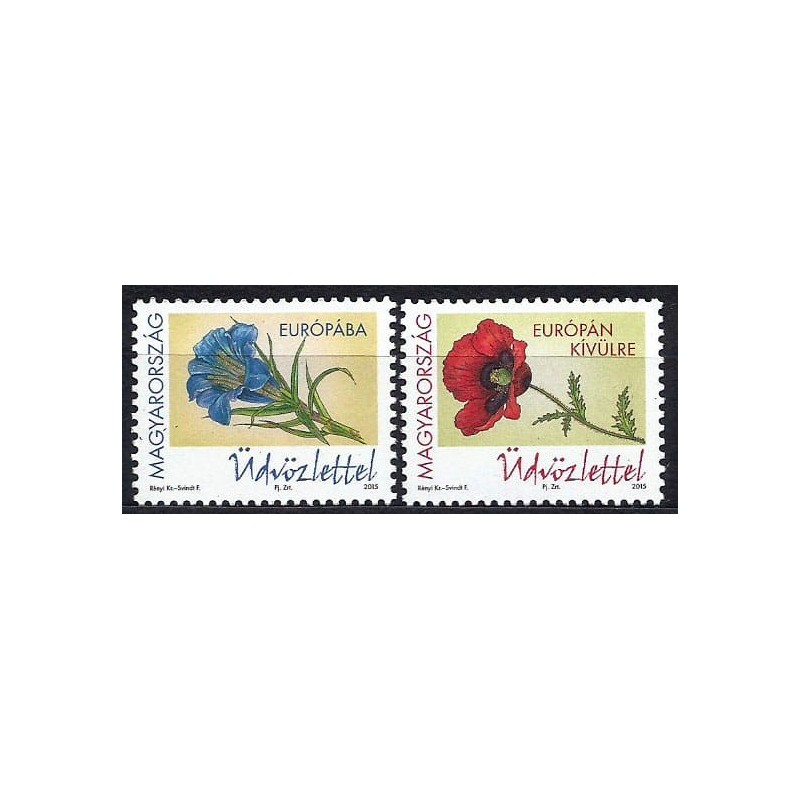 Węgry 2015, Kwiaty: mak, goryczka **