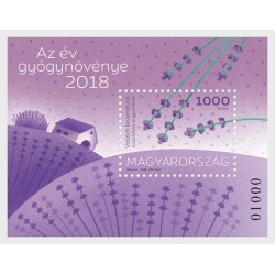 Węgry 2018, Rośliny lecznicze: lawenda **