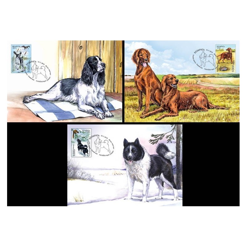 Białoruś 2010, Psy, myślistwo. Karty maksimum