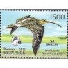 Białoruś 2011, Ptaki: Kulik **