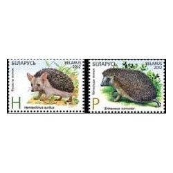 Białoruś 2012, Fauna: Jeże **