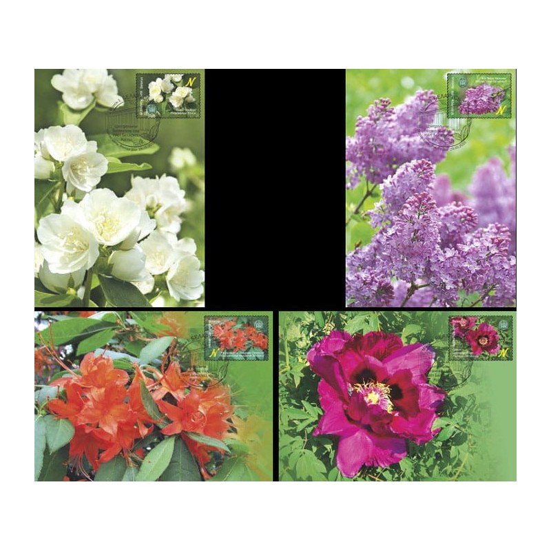 Białoruś 2015, Rośliny, kwiaty: peonia, lilia. Karty maksimum