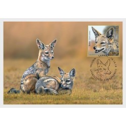 Estonia 2018, Zwierzęta: szakal złocisty. Karta maksimum