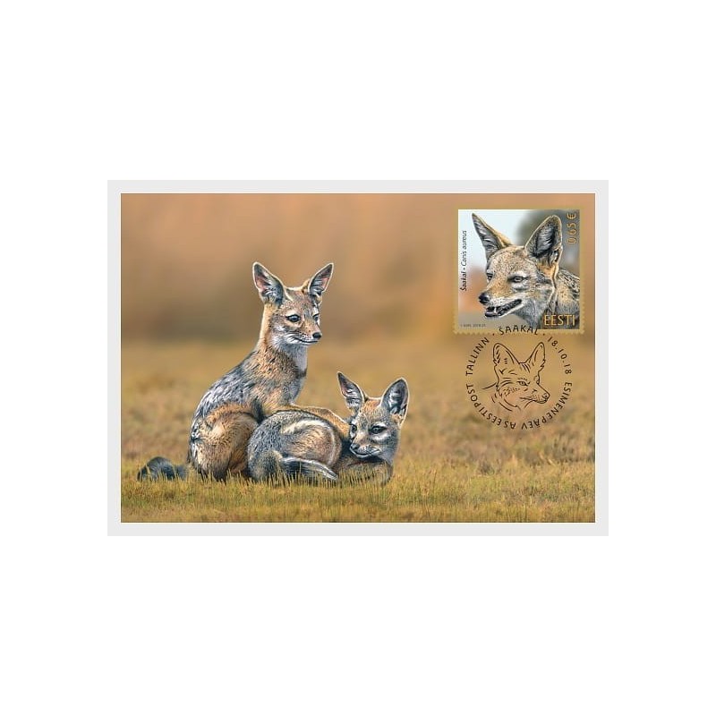 Estonia 2018, Zwierzęta: szakal złocisty. Karta maksimum