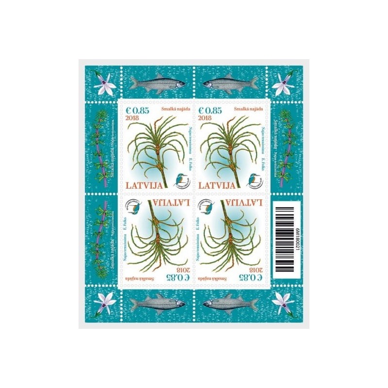 Łotwa 2018, Flora, roślina wodna jezierza. Blok **