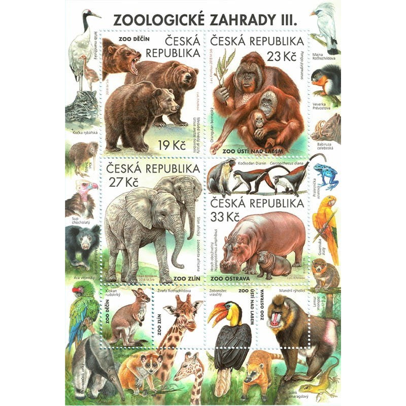 Czechy 2018, Zoo, zwierzęta: niedźwiedź małpa hipopotam słoń ptaki **