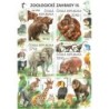 Czechy 2018, Zoo, zwierzęta: niedźwiedź małpa hipopotam słoń ptaki **
