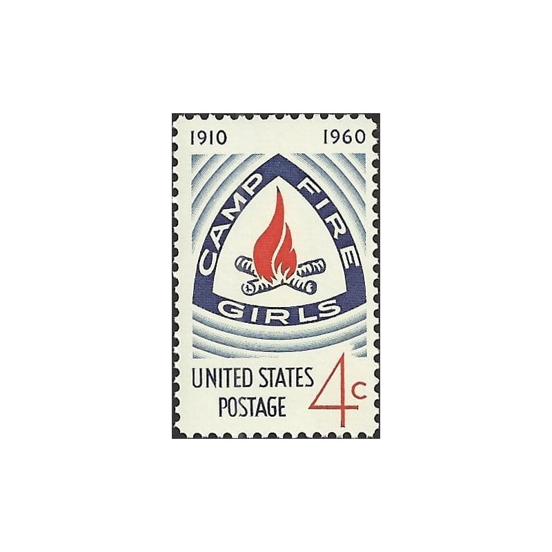 USA 1960, Harcerstwo dziewcząt, ognisko, 50 lat **