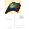 Niemcy 1971, A. Durer, malarstwo. Cp