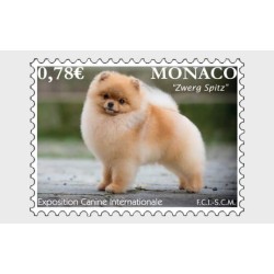 Monako 2018, Pies, wystawa psów **